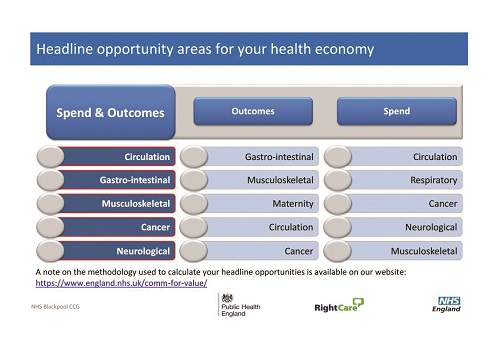 Headline opportunity areas for your health economy