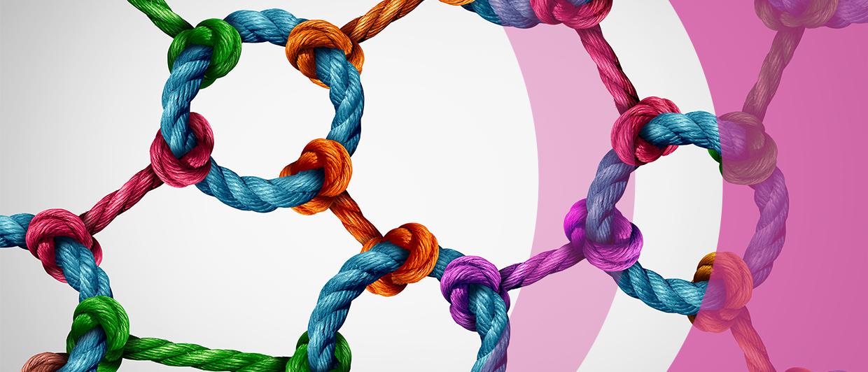Image of multi-coloured ropes tied together