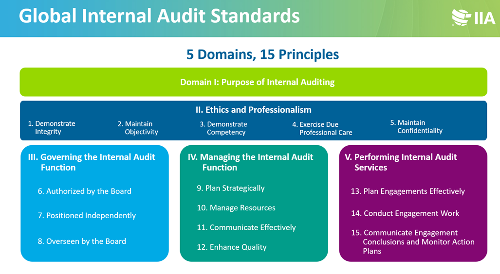 Global Internal audit standards
